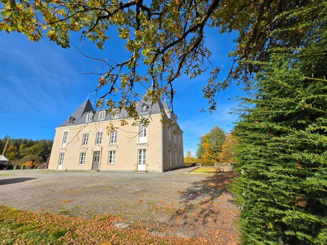 Gros potentiel pour cette tres belle propriete de 19ha avec chateau et batiment de + de 1200 m² - photo 33