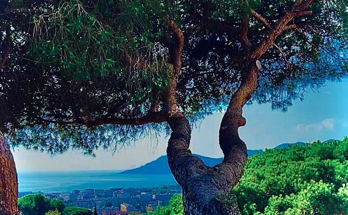 Appartement à LE CANNET