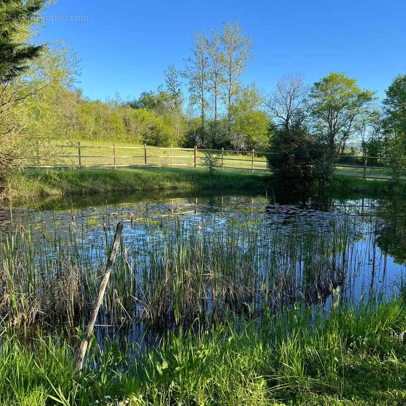 Country property with pool and stables - photo 13