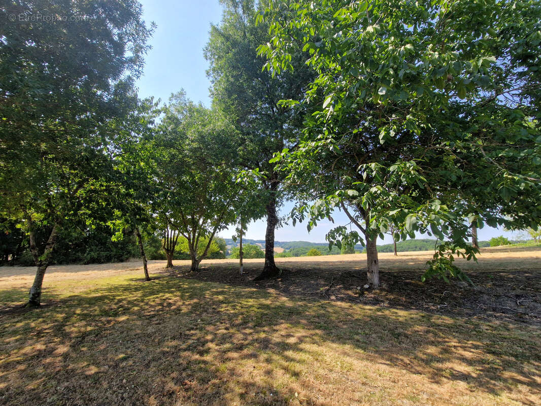 Sur les hauteurs d'Hautefage, vue MAGNIFIQUE. Ensemble immobilier Maison-Grange-Longère en pierre à rénover. - photo 9
