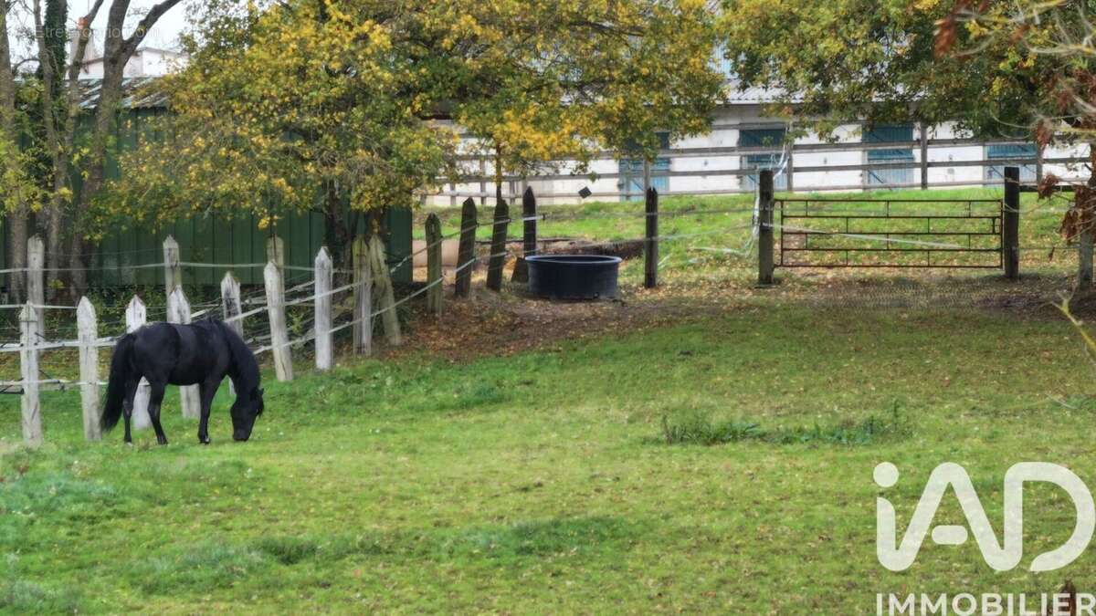 Photo 6 - Maison à BROU