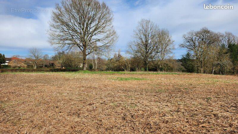 Terrain à VOUILLE
