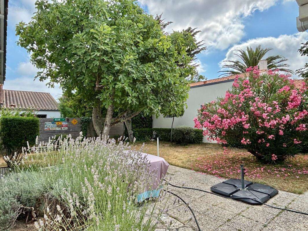 Maison À Vendre - photo 13