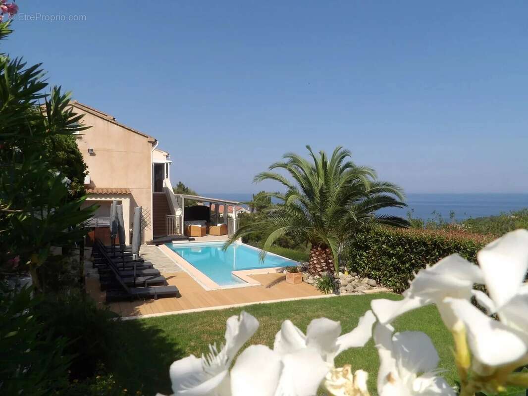 Maison à SARI-SOLENZARA