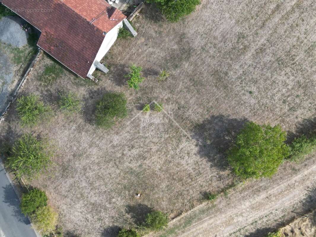 Terrain de 2334 m2 - photo 14