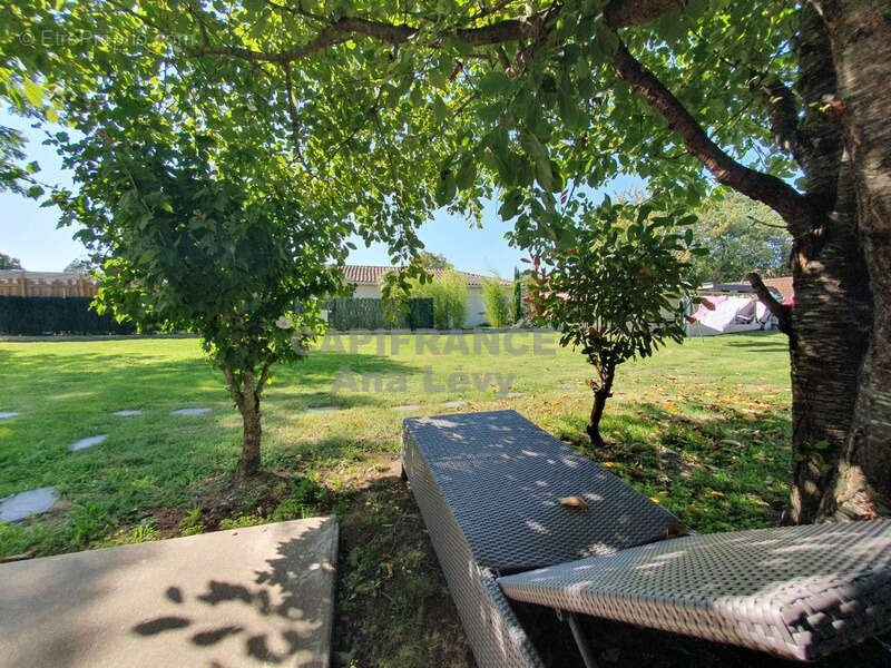 Maison 165m², garage aménagé en studio, parcelle de plus de 1100m² - photo 3