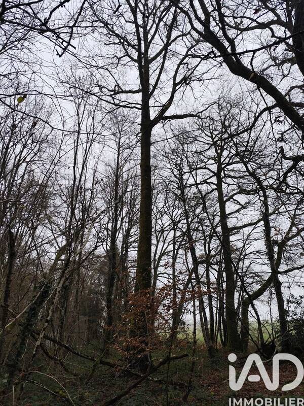 Photo 1 - Terrain à LA CHAPELOTTE