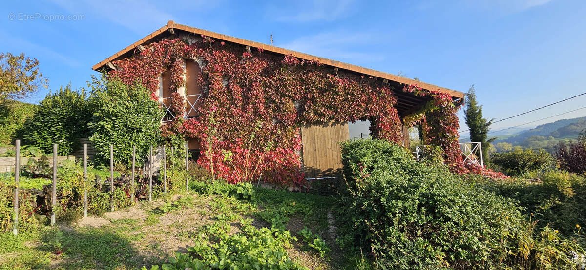 Maison à SAINT-VICTOR-SUR-RHINS