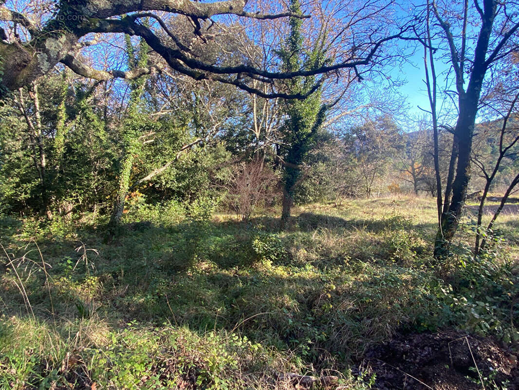 Terrain à MOLIERES-SUR-CEZE