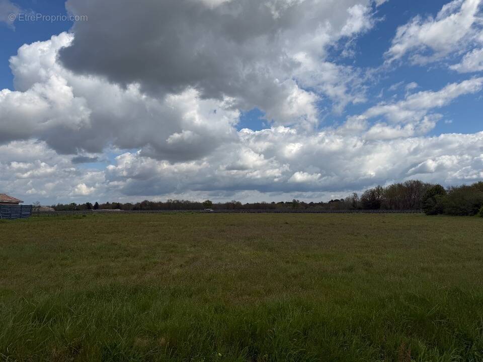 Terrain à LANGON