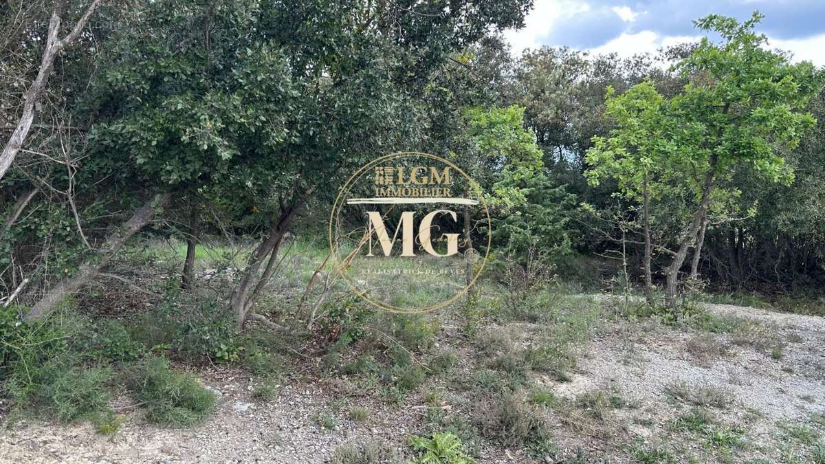 Terrain à SAINT-BENEZET