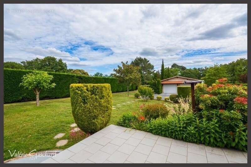 MONTPON-MÉNESTEROL - Maison de plain pied de 3 chambres, double garage et jardin de 3700 m² - photo 5