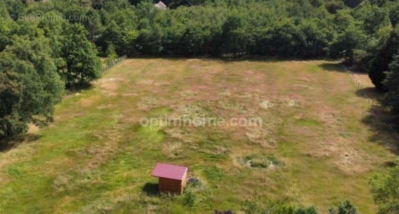 Terrain à vendre de 8 500,00 m² VILLEFRANCHE SUR CHER 41 dans un environnement très calme et verdoyant - photo 3