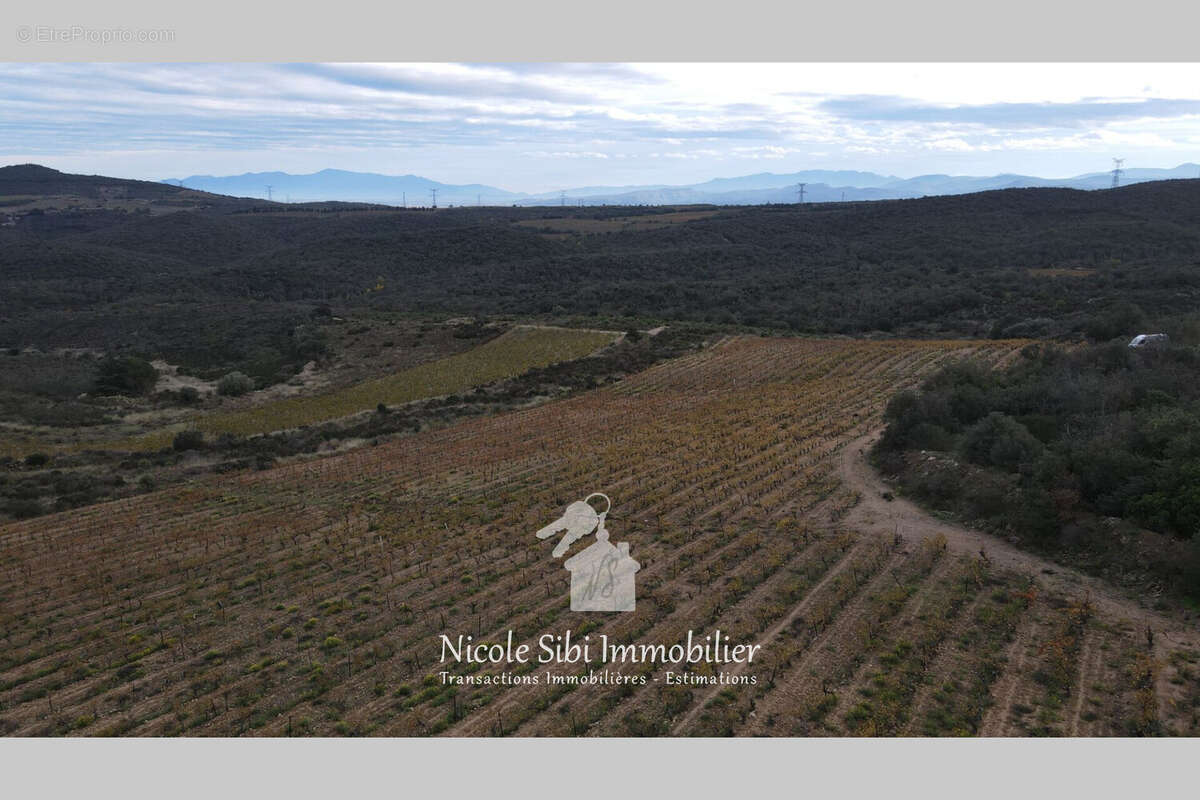 Terrain à CASSAGNES