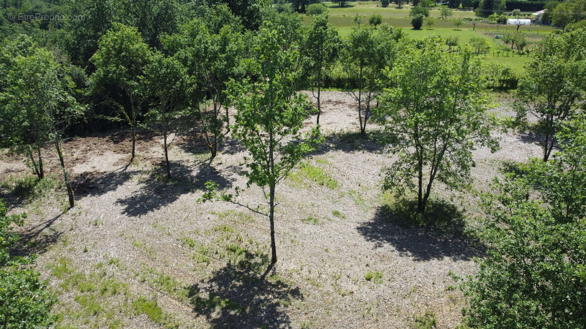 Terrain à BON-ENCONTRE