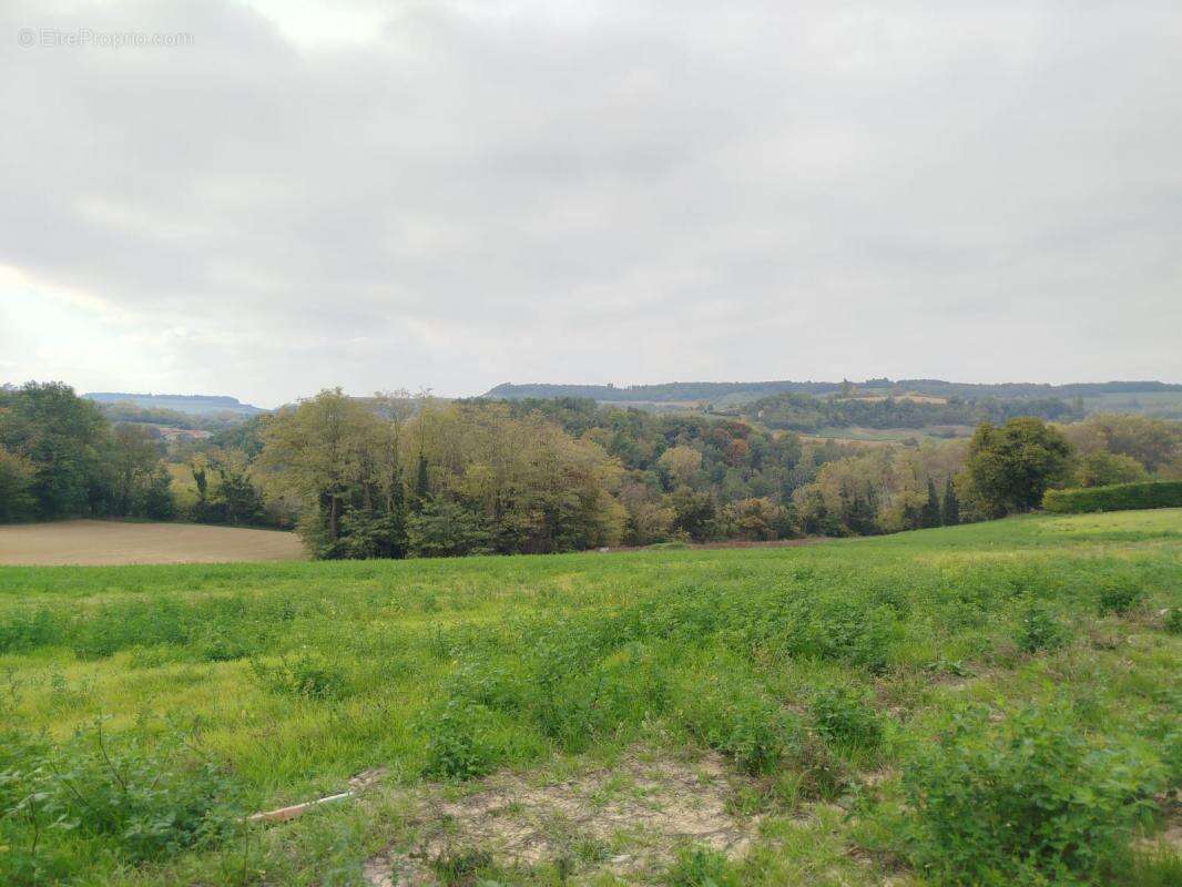 Terrain à MONTCHENU