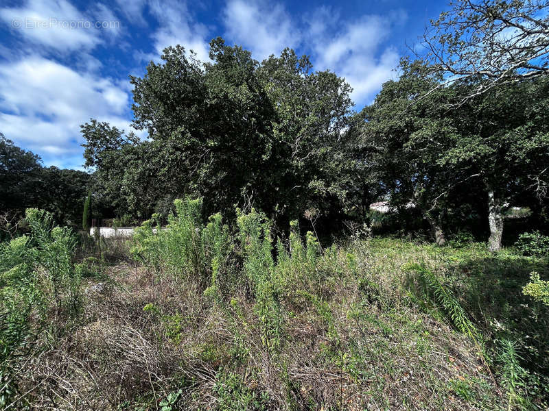 Terrain à GRIGNAN