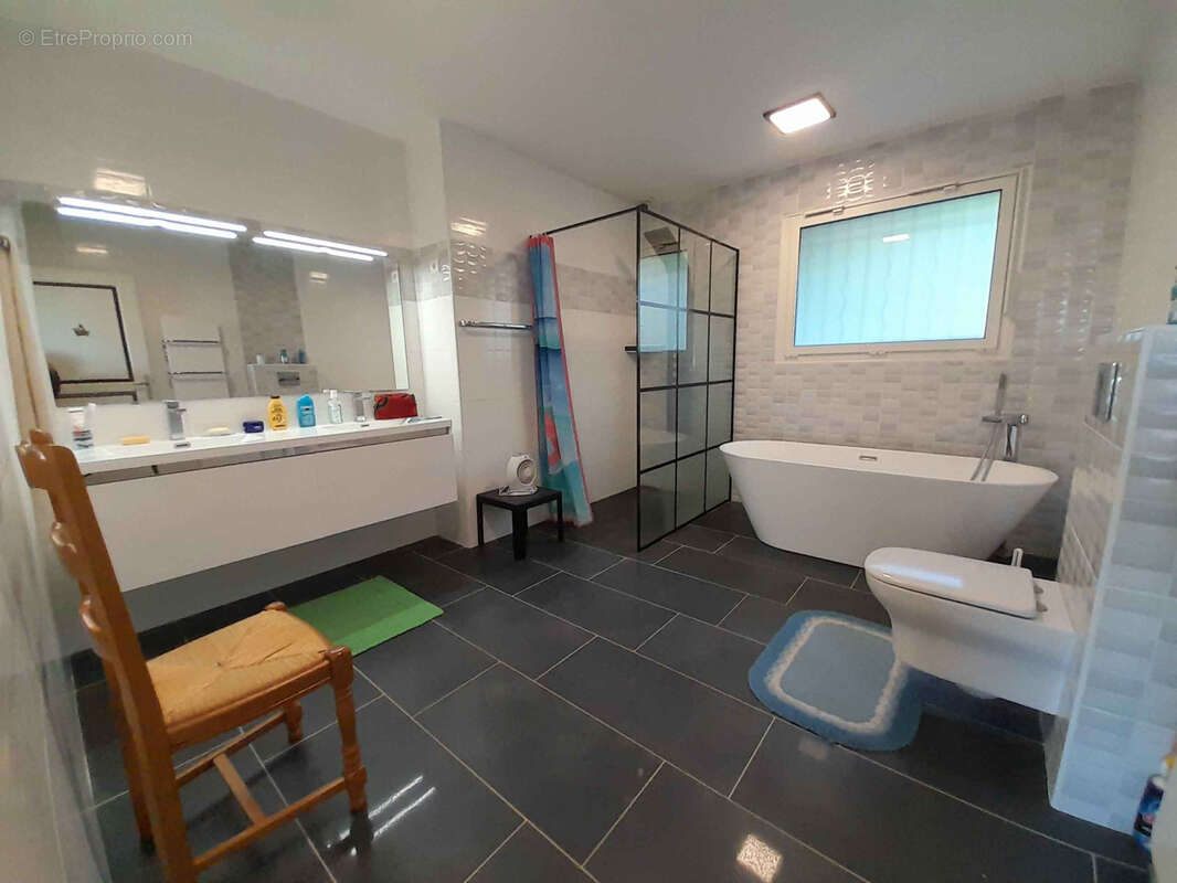 Maison à BELLEGARDE-POUSSIEU