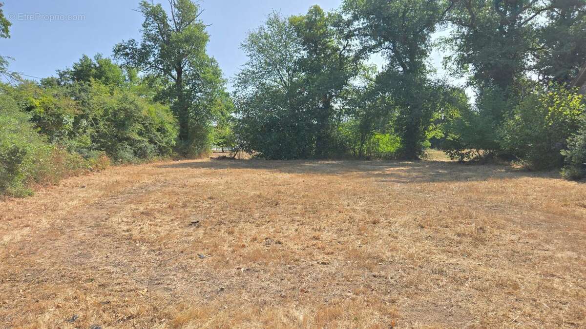 Terrain de loisir avec grange a renover - oradour sur glane (87) - photo 2