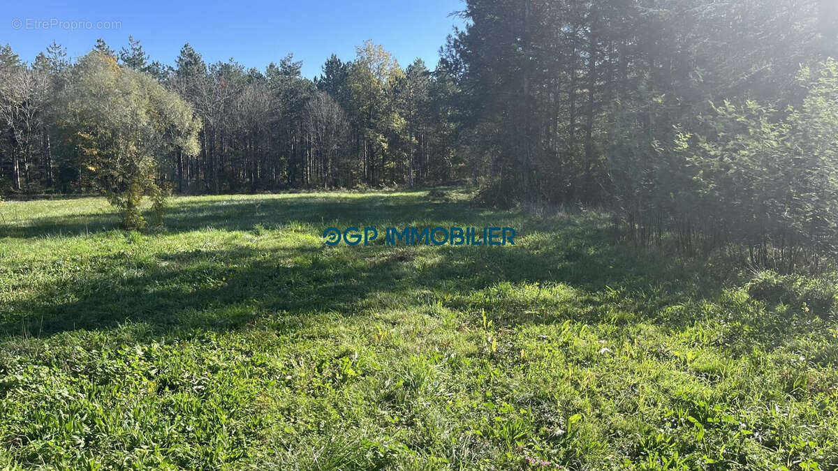 Terrain à VILLEMATIER