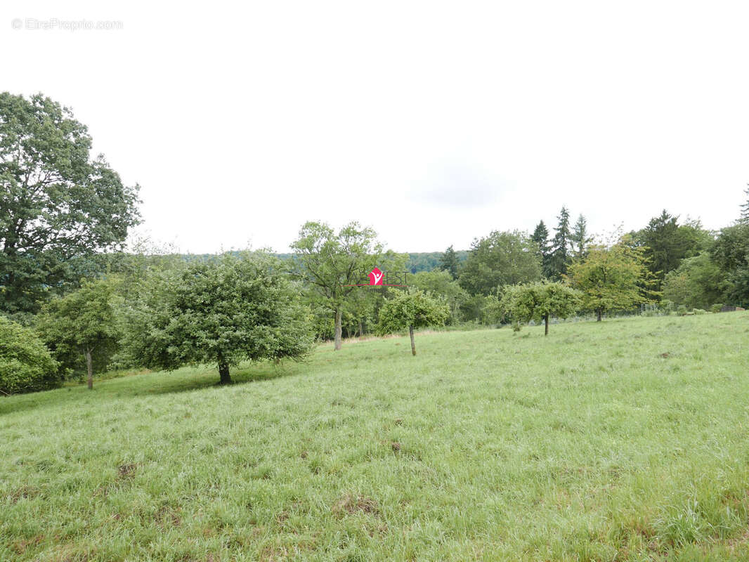 Terrain à LA PETITE-PIERRE