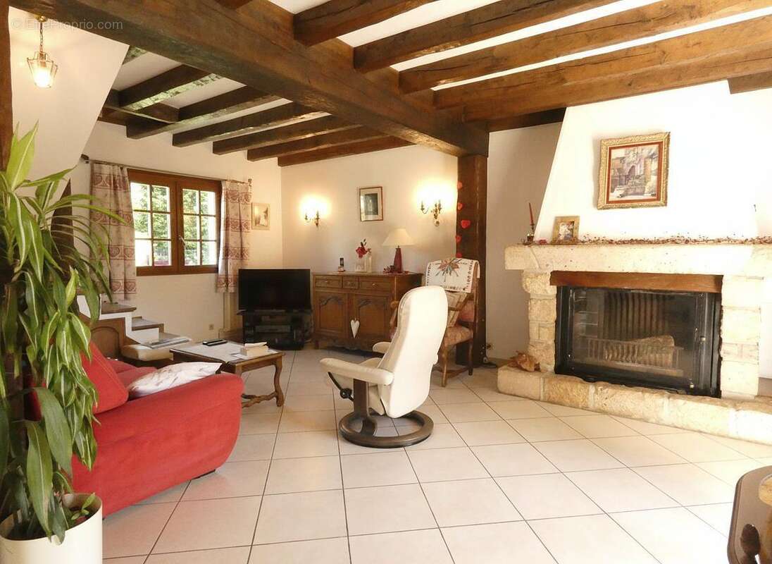 Maison 202 m² à Ouzouer-Sur-Loire  - photo 3