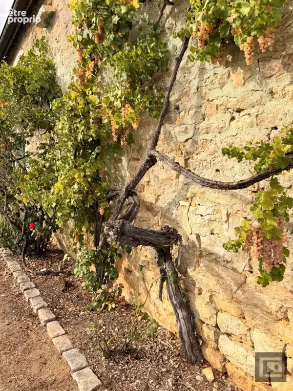 Les hauts de jambles   une propriété bourguignonne de caractère & ses deux gîtes - photo 14