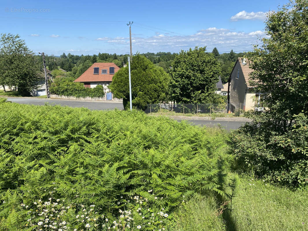 Terrain à SAINT-SORNIN-LAVOLPS