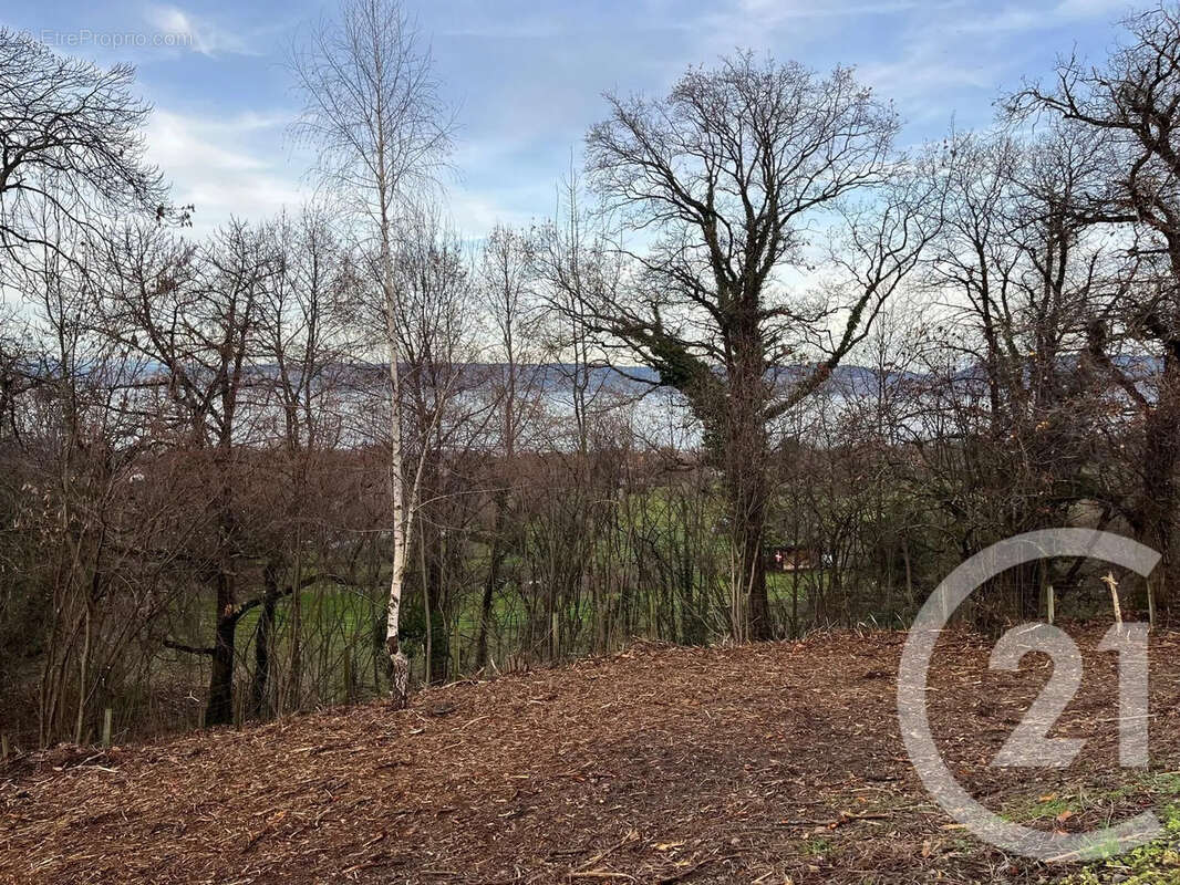 Terrain à MAXILLY-SUR-LEMAN