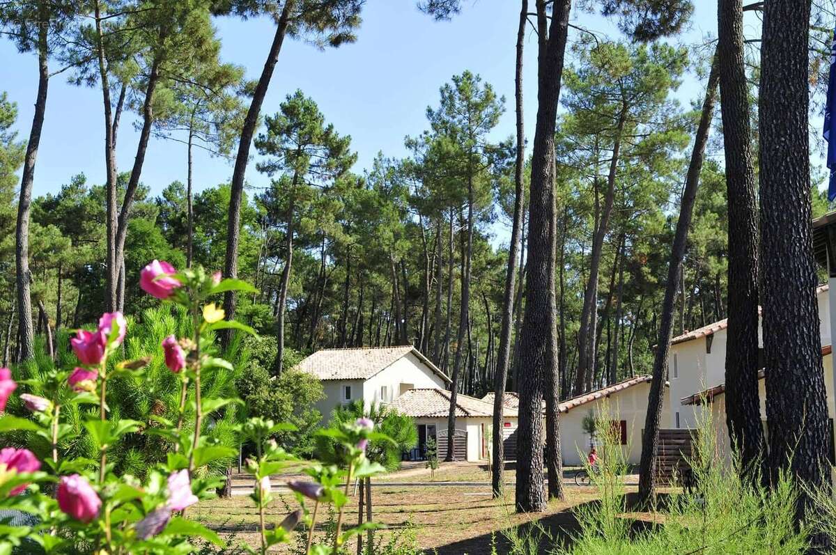 Maison à CASTELJALOUX