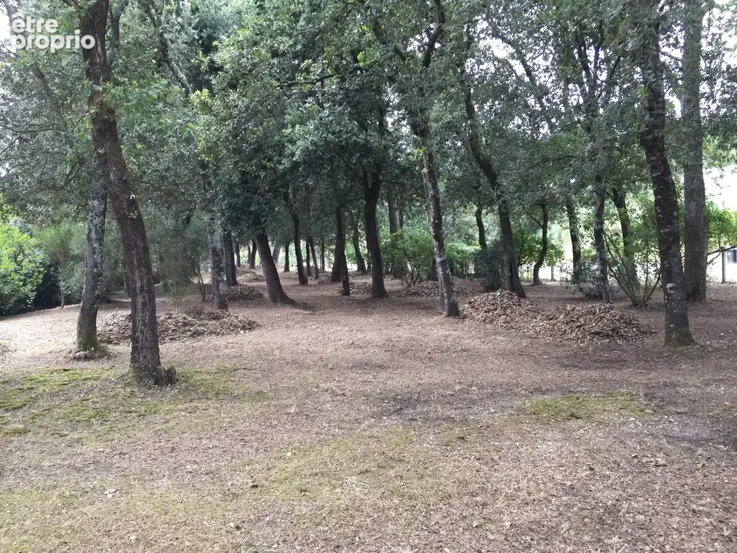 Terrain 864 m² à vendre à Le Verdon-Sur-Mer (33123) - photo 2