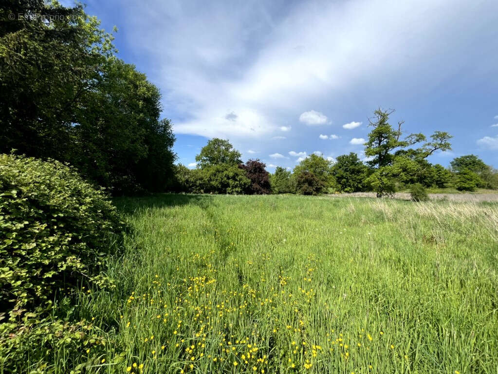 Maison à CONDEISSIAT