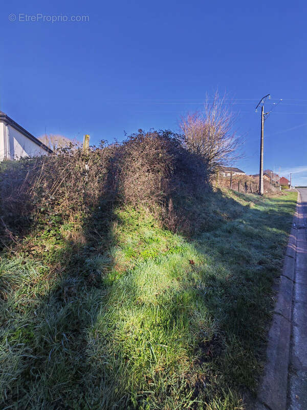 Photo 3 - Terrain à LESPESSES