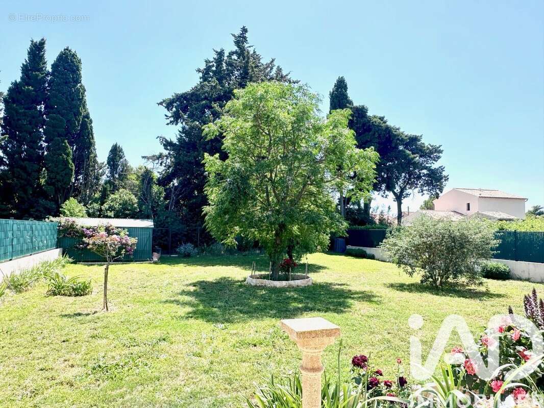 Photo 2 - Maison à SAINTE-CECILE-LES-VIGNES