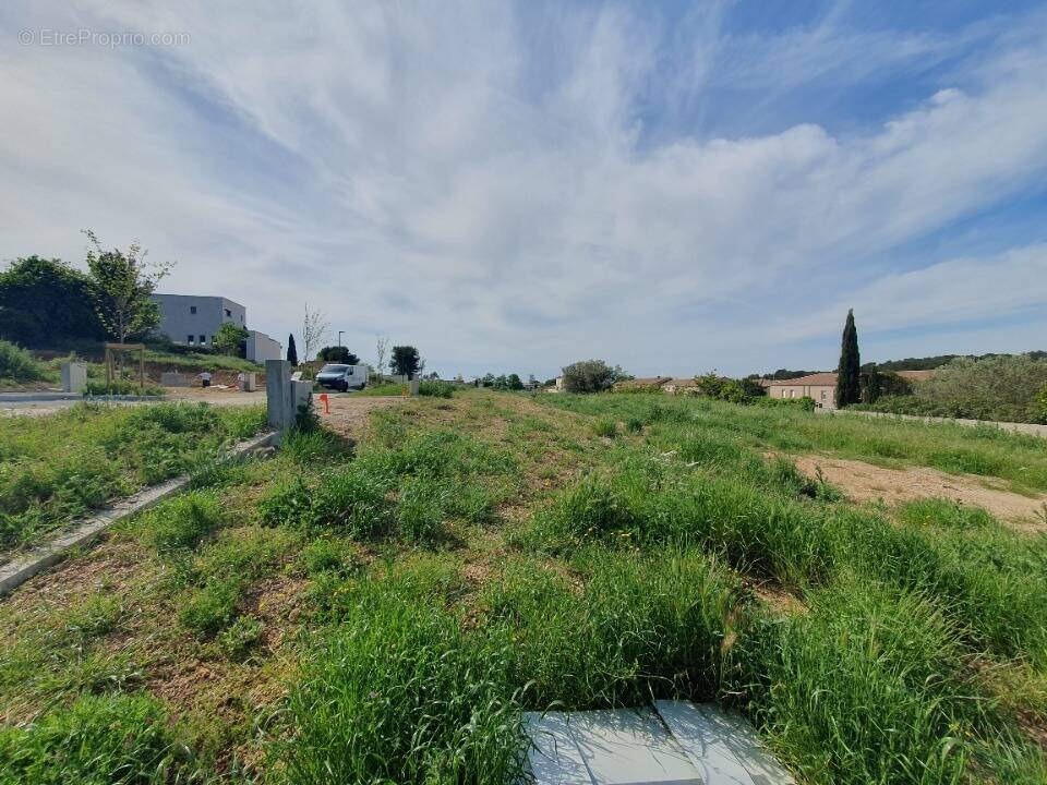 Terrain à MUS