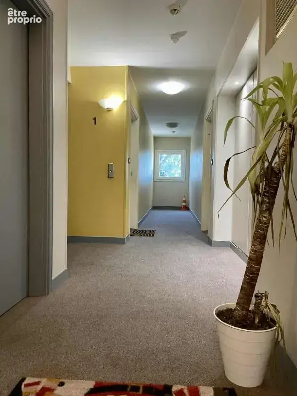 Appartement  3 pièce(s) 55 m2 avec balcon - photo 8