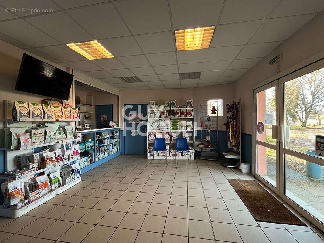 Commerce à SAINT-SEVER