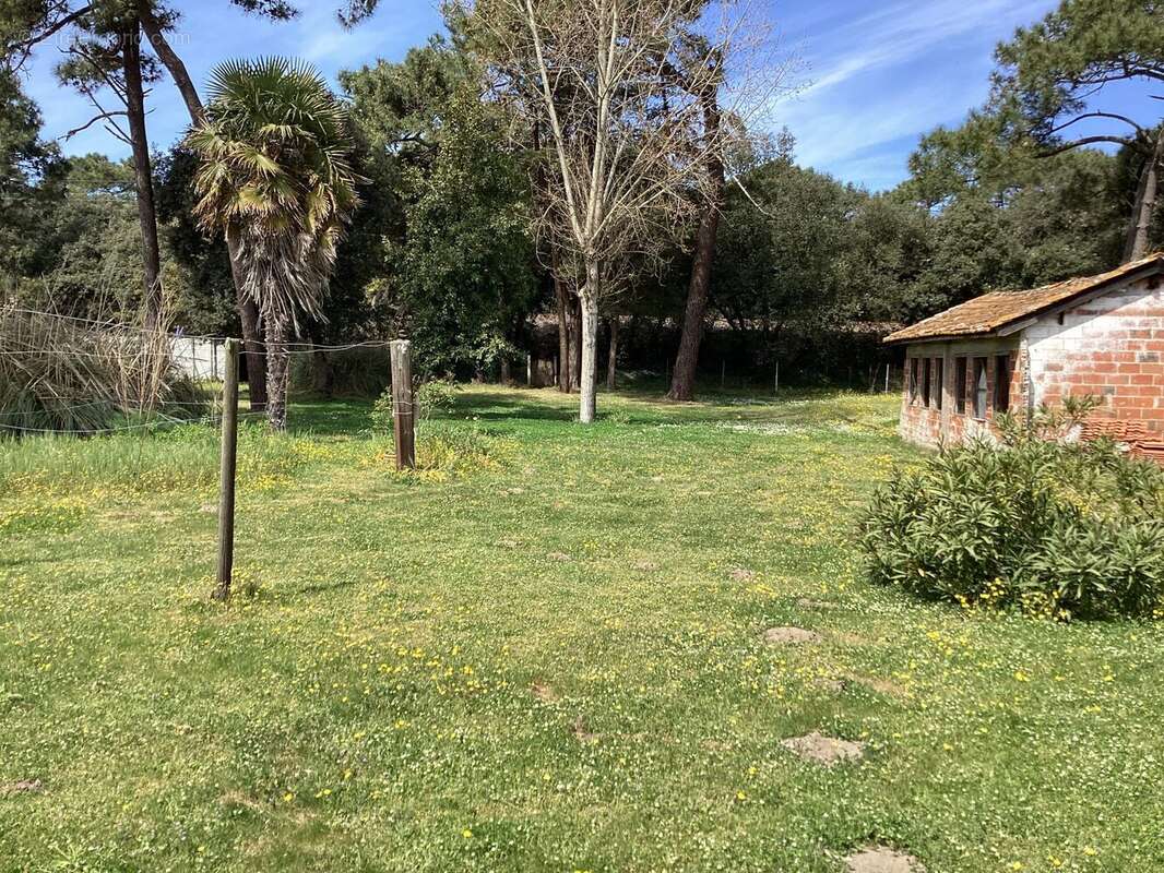 TERRAIN AVEC APERCU DEPENDANCES - Maison à LE VERDON-SUR-MER