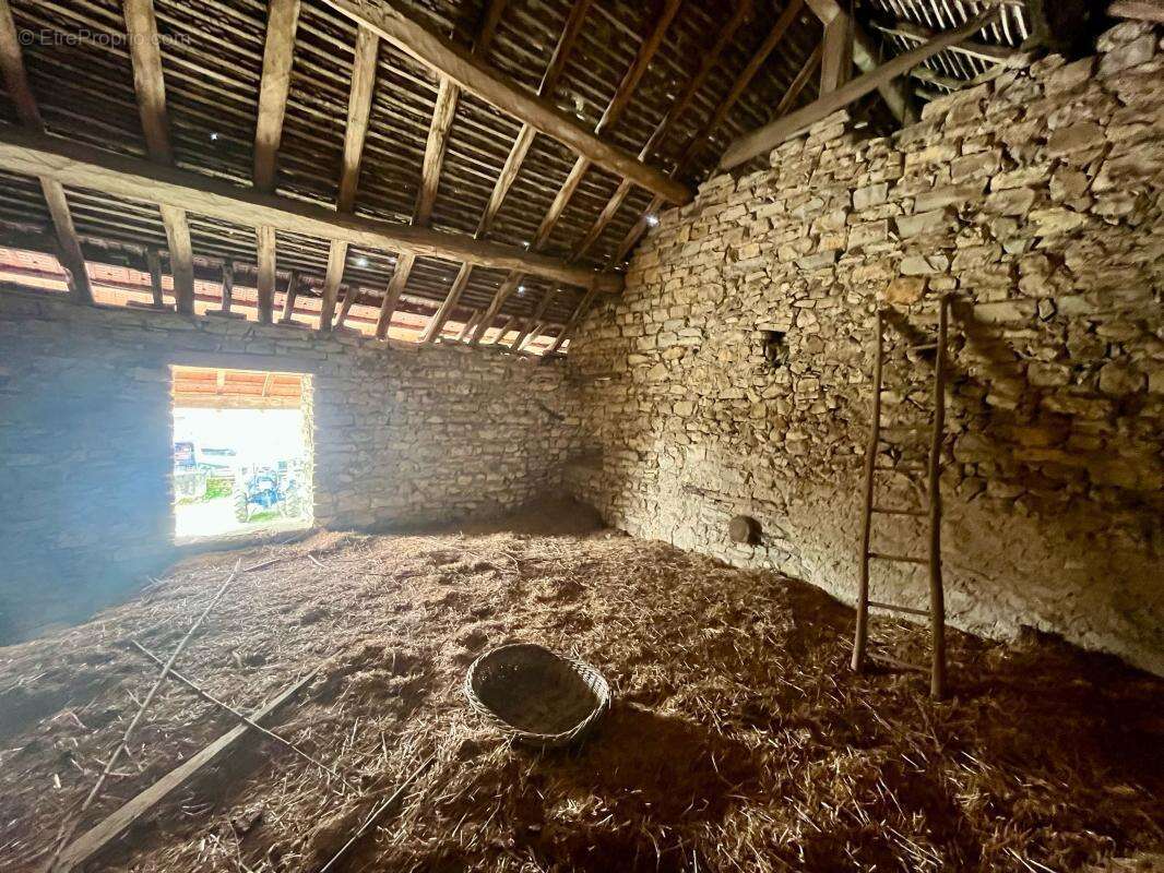 A VENDRE - Grange en pierre à rénover sur la commune de Creys-Mépieu (38510) - photo 8