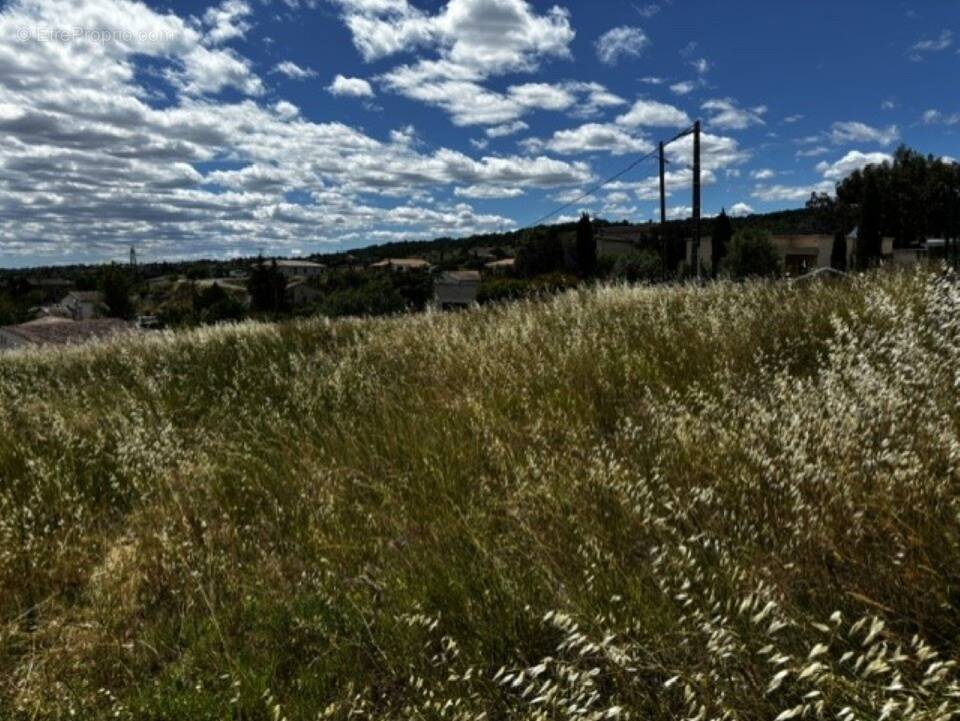 Terrain à SAINT-SERNIN