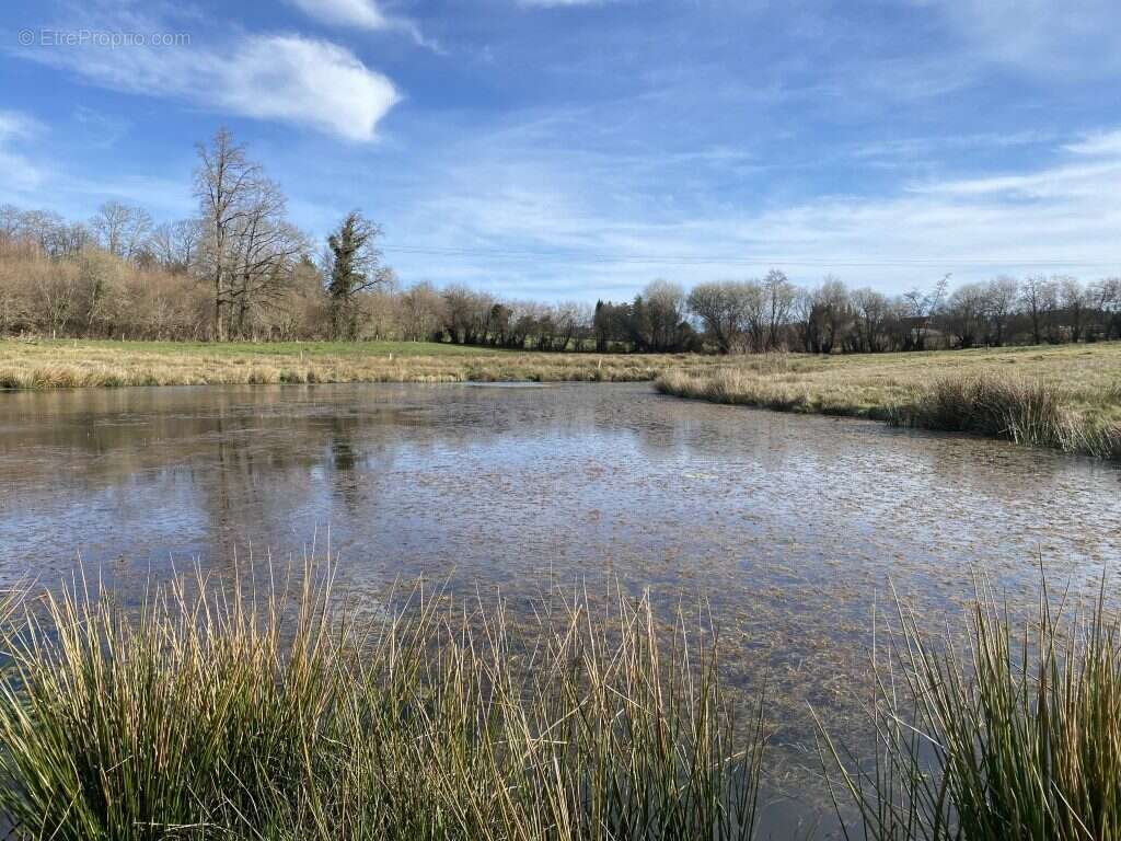 Terrain à NEUVIC-ENTIER