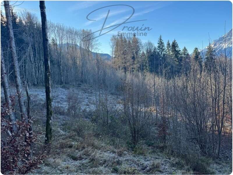 Terrain à ARACHES-LA-FRASSE