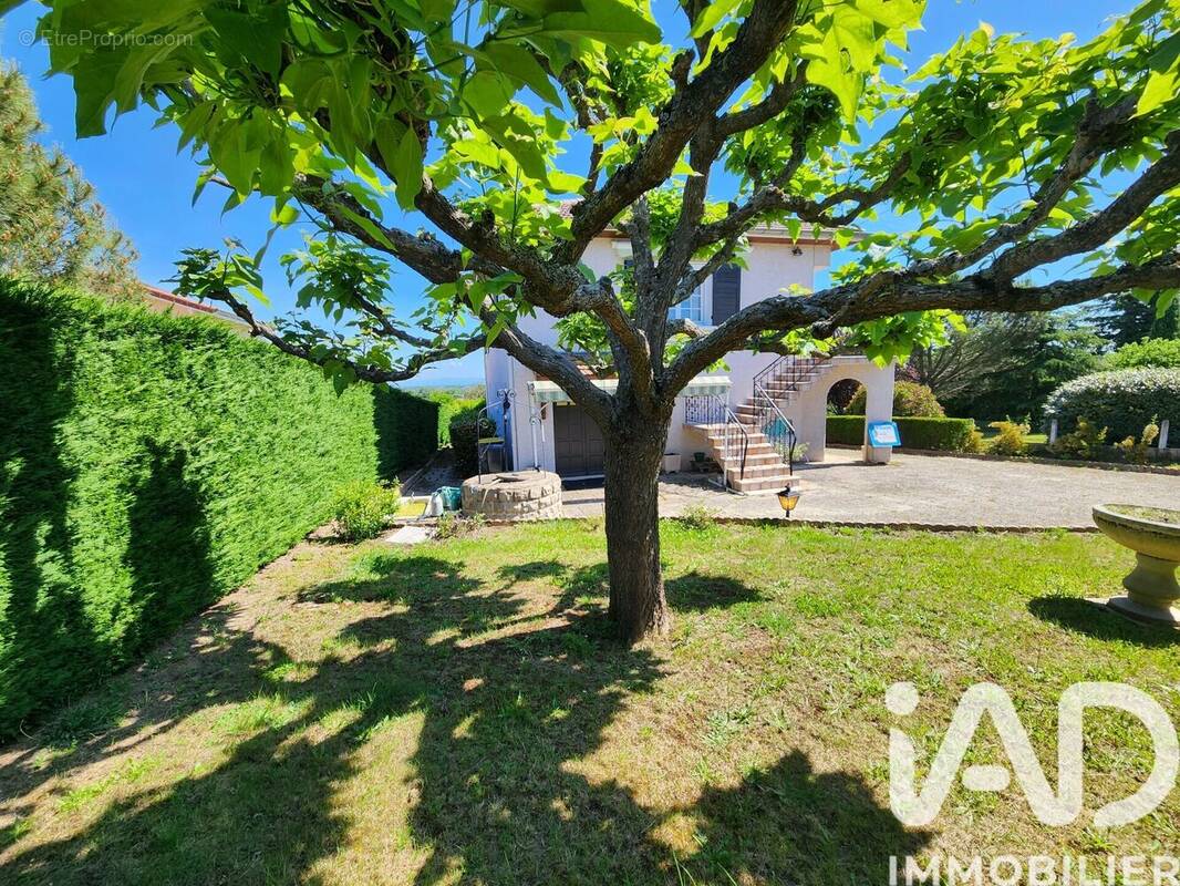 Photo 1 - Maison à SAINT-MARCELLIN-EN-FOREZ