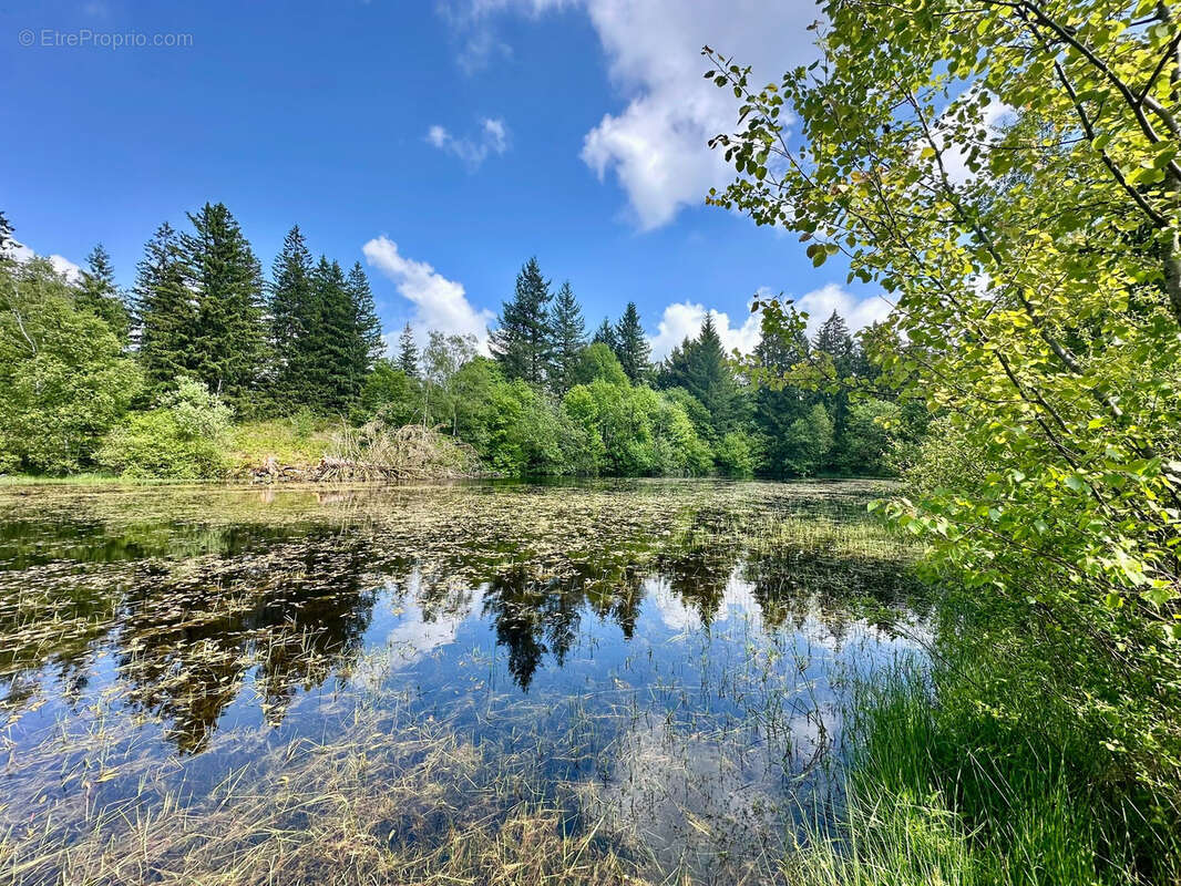 Maison à RAMONCHAMP