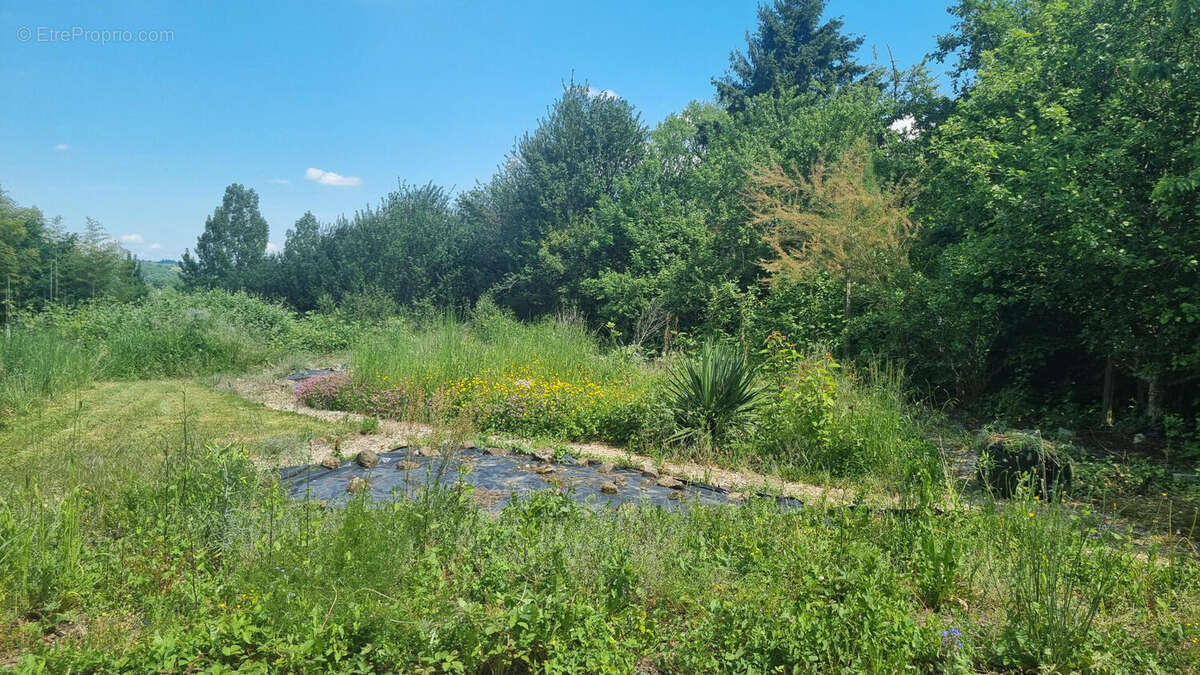 20250515_144511 - Maison à BUSSEROLLES