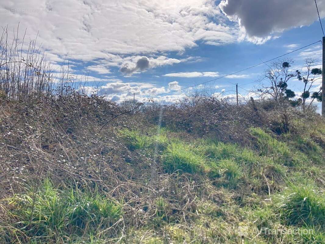 Terrain à AZAY-LE-FERRON