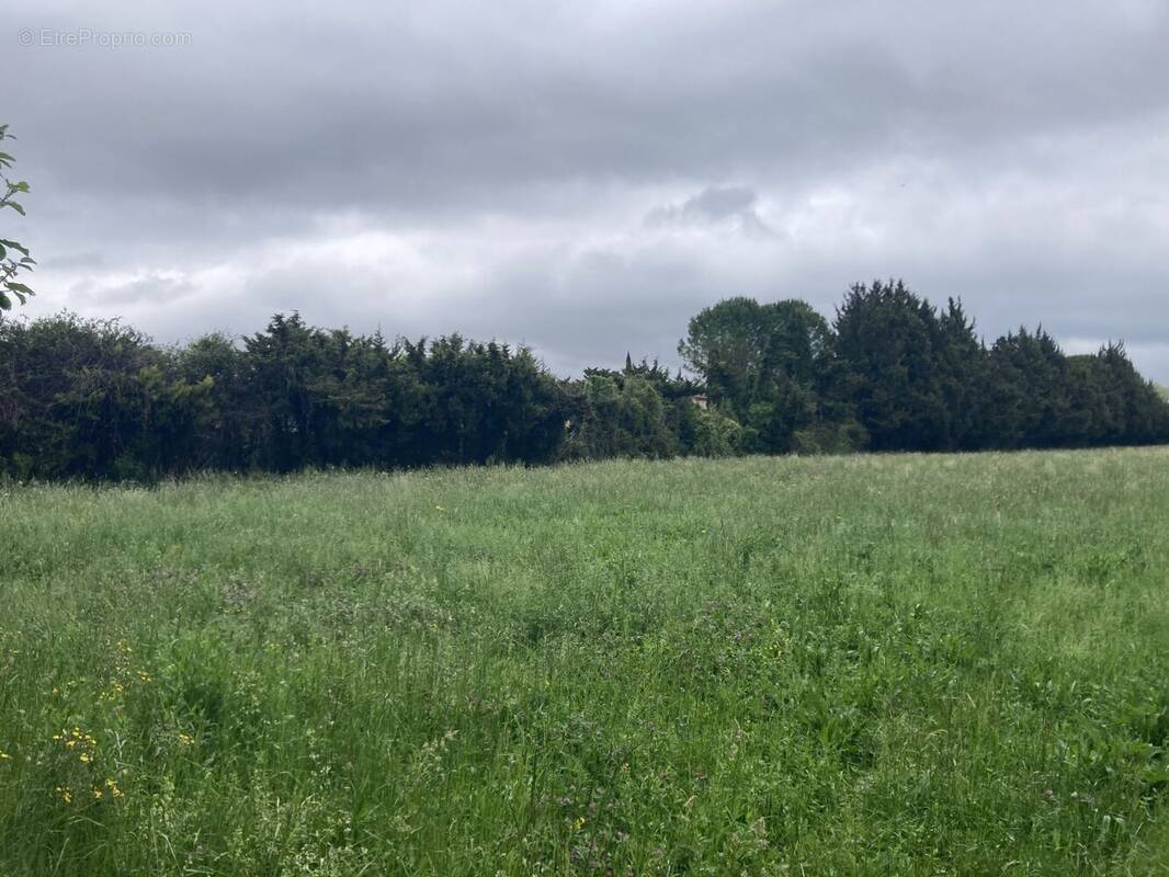 Terrain à L'ISLE-SUR-LA-SORGUE