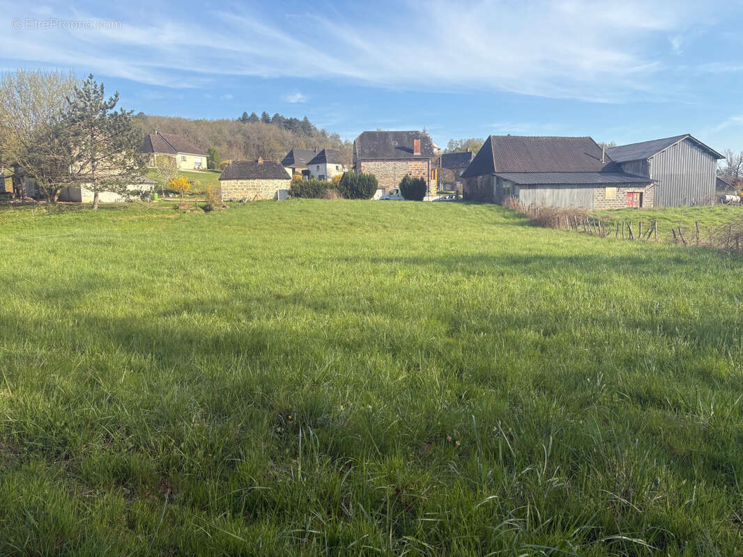 Terrain à SAINT-VIANCE