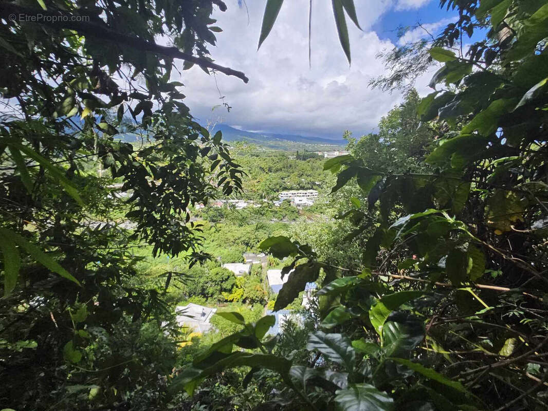 Photo 4 - Maison à SAINTE-MARIE