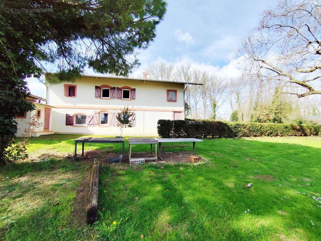 Photo 4 - Appartement à CASTELSARRASIN